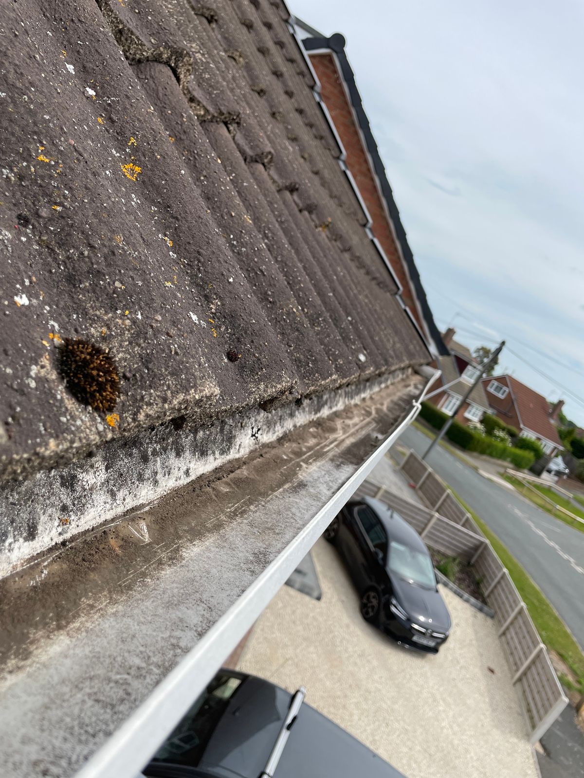 Gutter being cleared of moss and debris